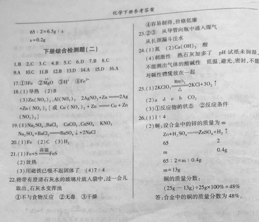 2018年金榜秘笈名校作業(yè)本九年級(jí)化學(xué)下冊(cè) 第16頁