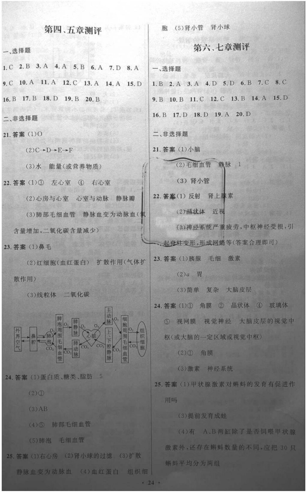 2018年初中同步测控优化设计七年级生物学下册人教版福建专版 第8页