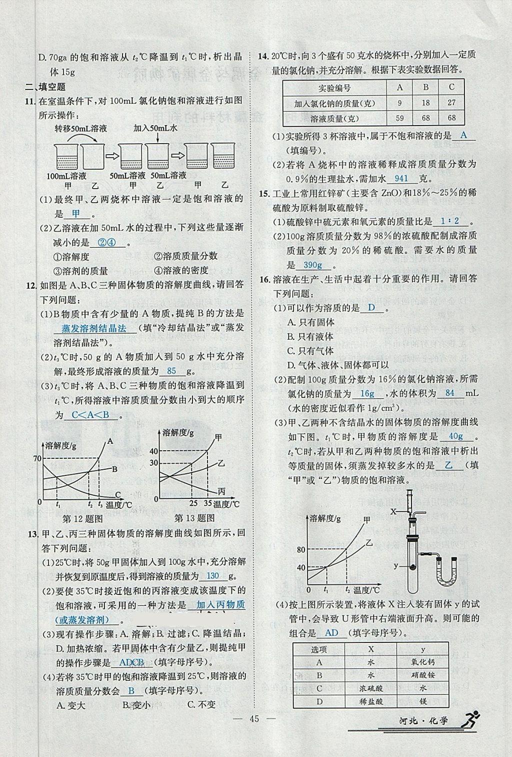 2018年中考2號(hào)河北考試說明的說明化學(xué) 第175頁