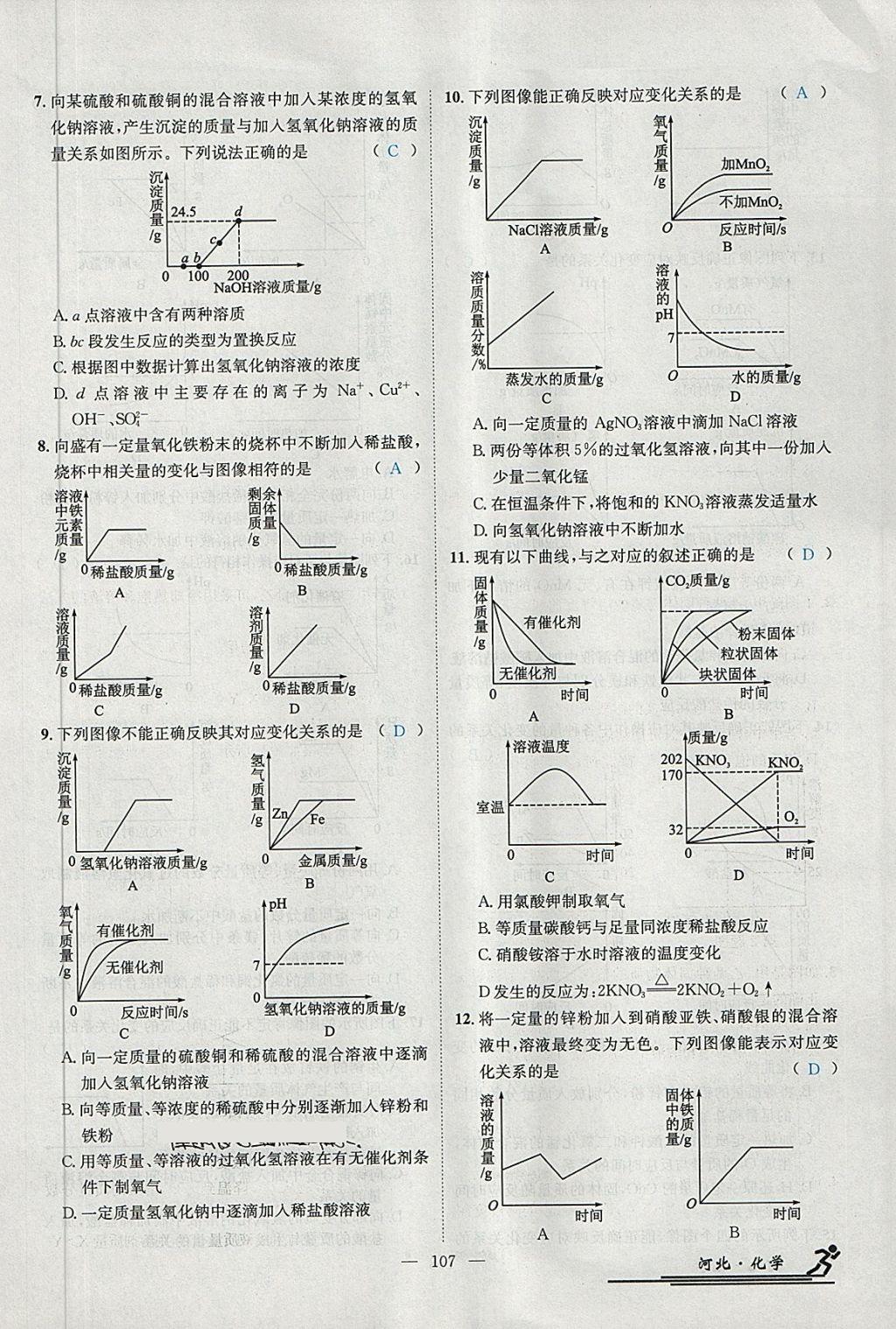 2018年中考2號(hào)河北考試說明的說明化學(xué) 第237頁