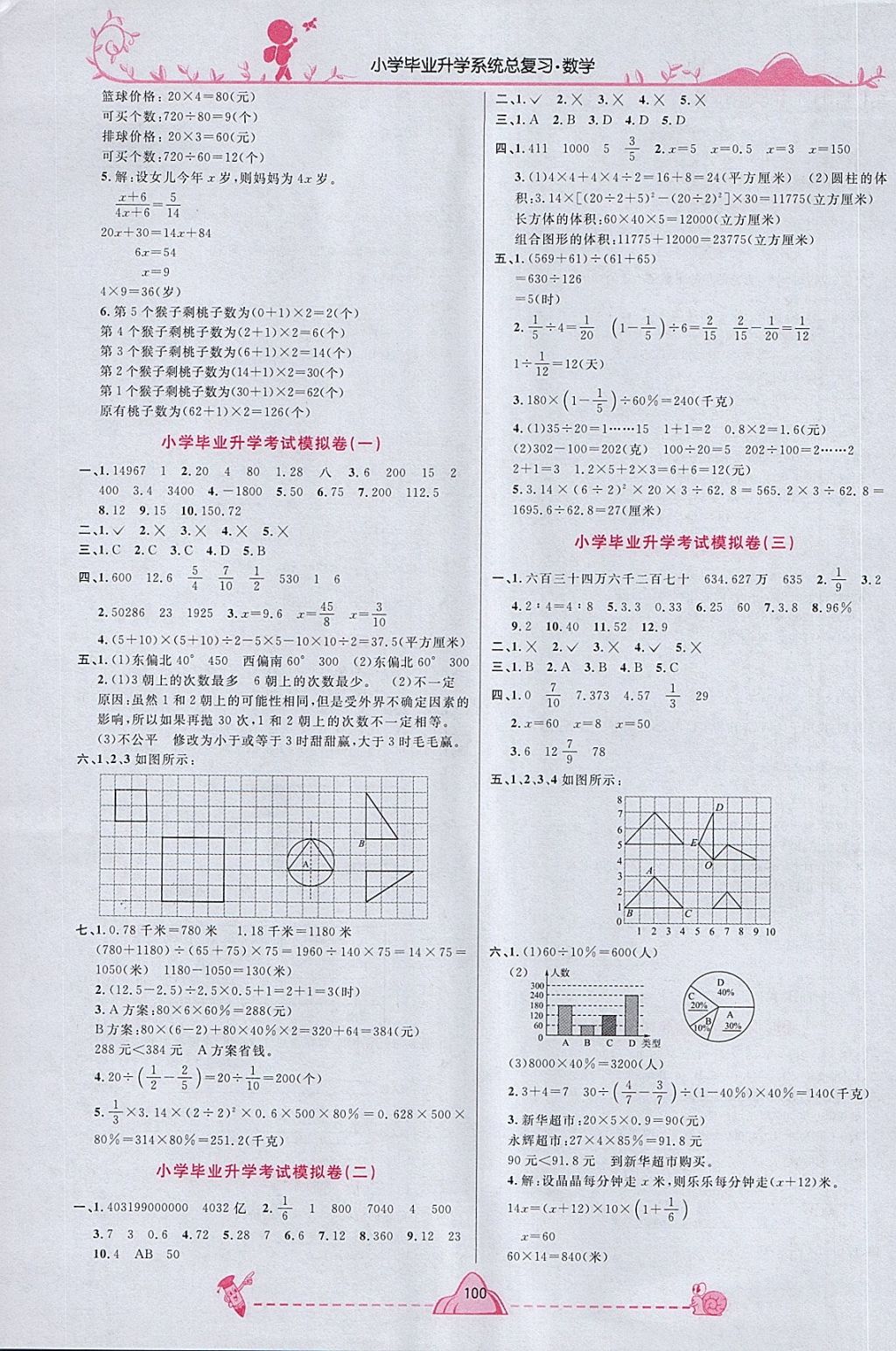 2018年宇轩图书小学毕业升学系统总复习数学 第10页