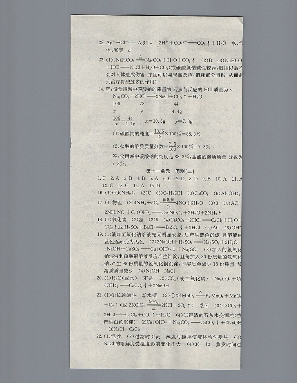 2018年同步檢測金卷九年級化學下冊人教版 第13頁