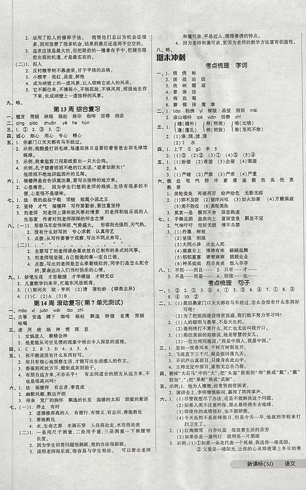 2018年全品小复习六年级语文下册苏教版 第5页