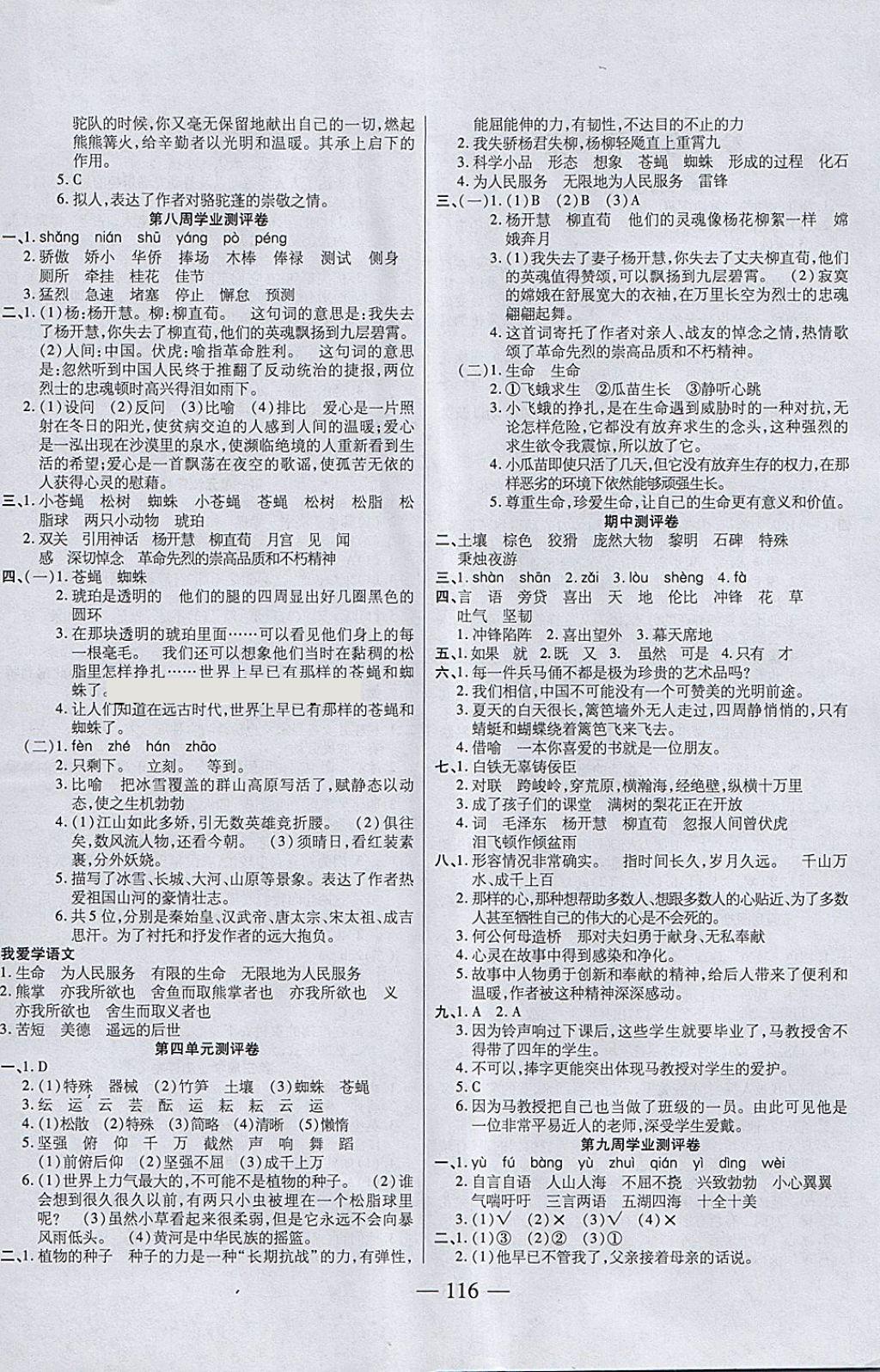 2018年手拉手全優(yōu)練考卷六年級(jí)語文下冊北師大版 第4頁