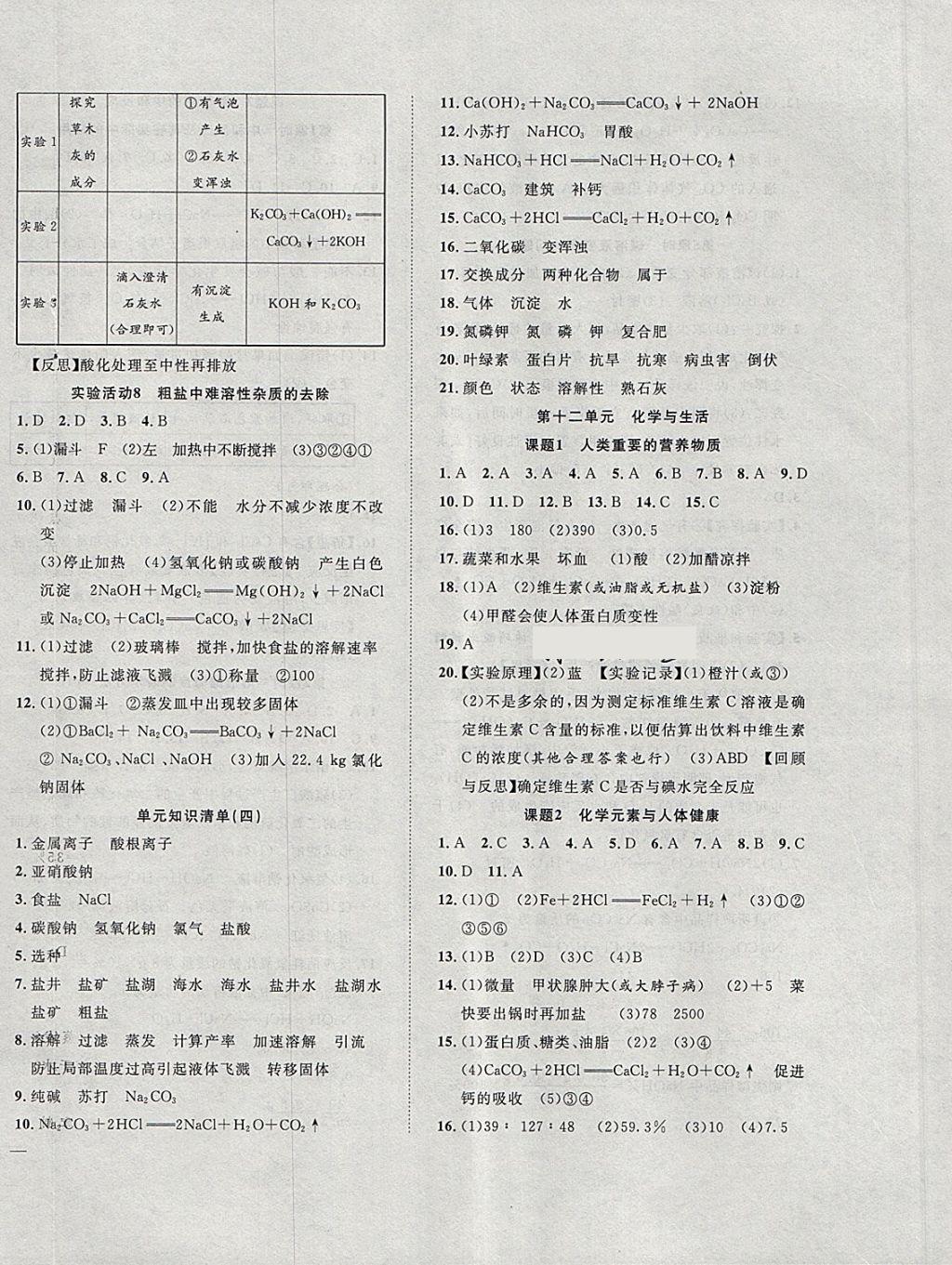 2018年体验型学案体验新知高效练习九年级化学下册人教版 第8页