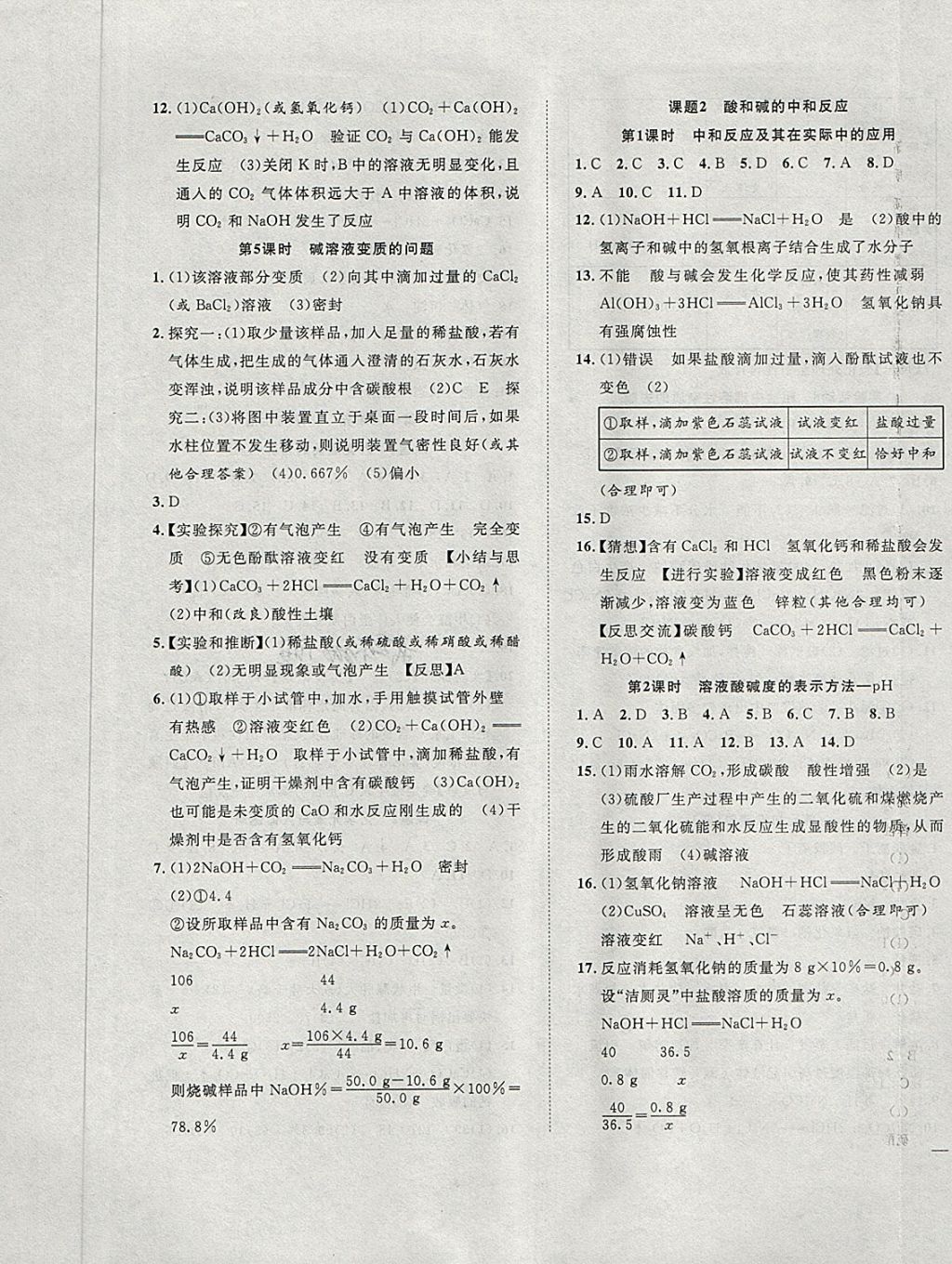 2018年体验型学案体验新知高效练习九年级化学下册人教版 第5页