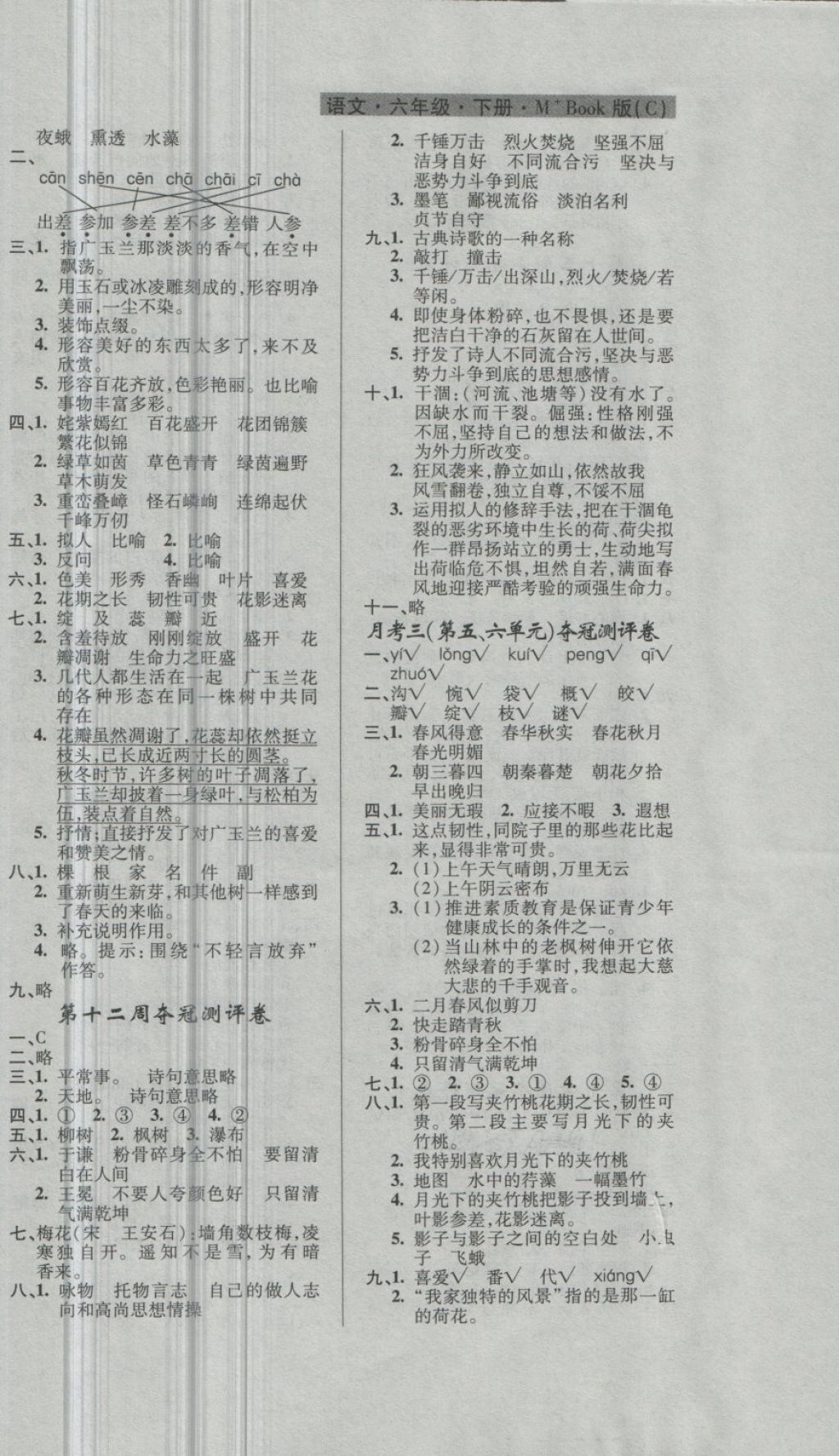 2018年期末奪冠滿分測評卷六年級語文下冊C版 第6頁