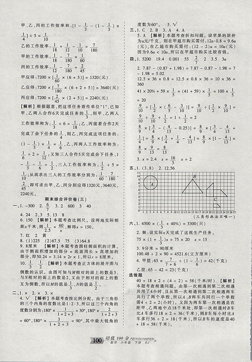 2018年王朝霞培优100分六年级数学下册苏教版 第12页