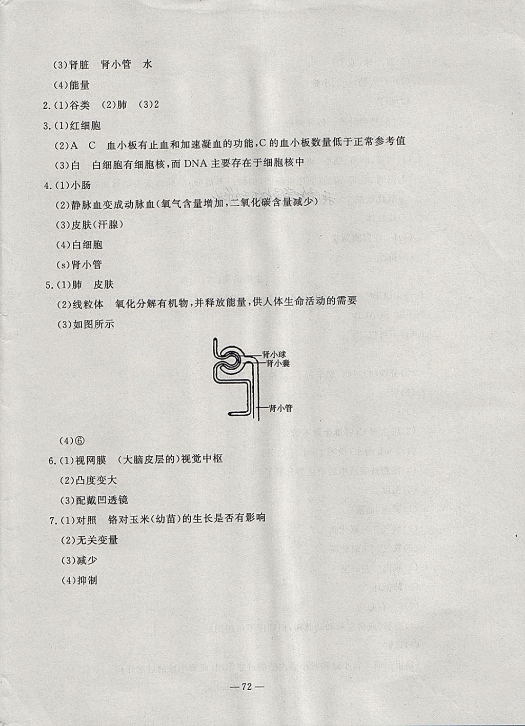 2018年期末快遞黃金8套七年級(jí)生物下冊(cè)人教版 第8頁(yè)