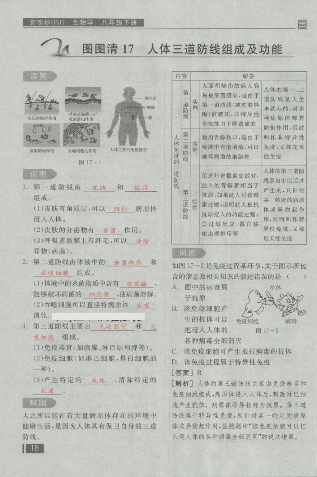 2018年全品小復(fù)習(xí)八年級(jí)生物學(xué)下冊(cè)人教版 第82頁(yè)