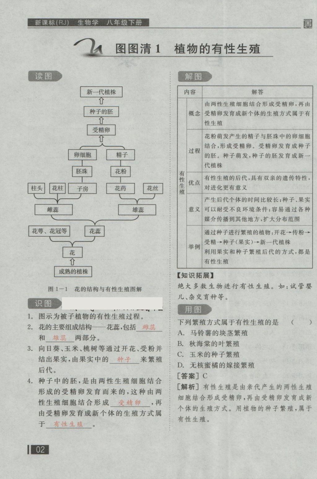 2018年全品小復(fù)習(xí)八年級(jí)生物學(xué)下冊(cè)人教版 第66頁