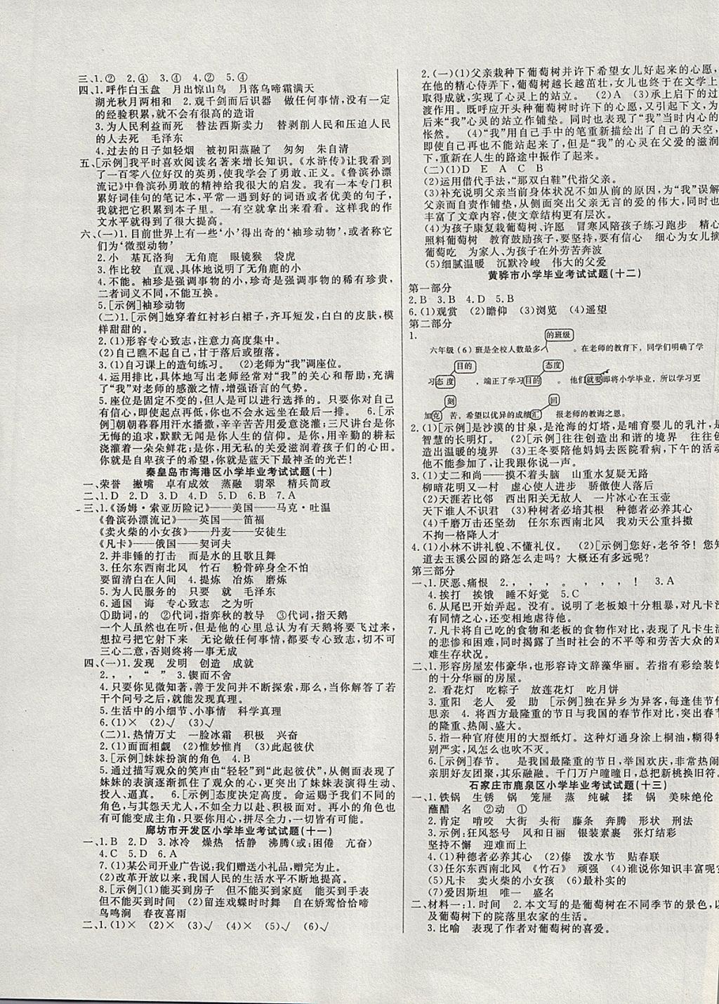 2018年考題大集結(jié)沖刺100分小升初語(yǔ)文 第3頁(yè)