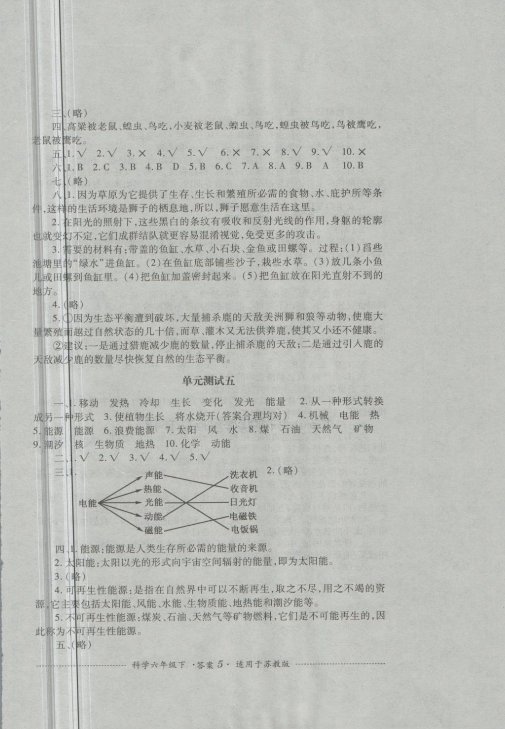 2018年單元測(cè)試六年級(jí)科學(xué)下冊(cè)蘇教版四川教育出版社 第5頁(yè)