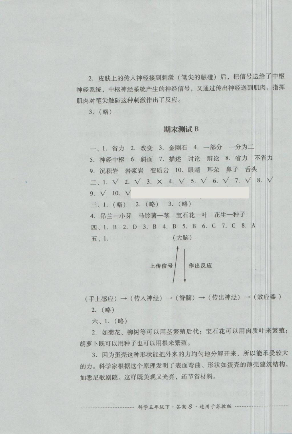 2018年單元測試五年級科學(xué)下冊蘇教版四川教育出版社 第8頁