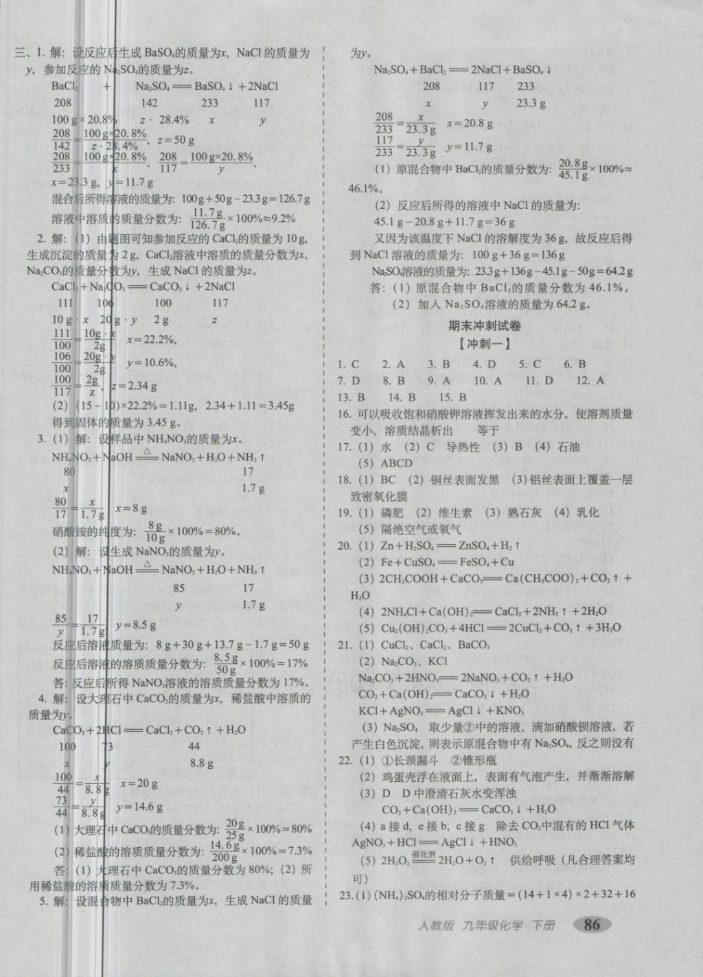 2018年聚能闖關(guān)期末復(fù)習(xí)沖刺卷九年級化學(xué)下冊人教版 第6頁