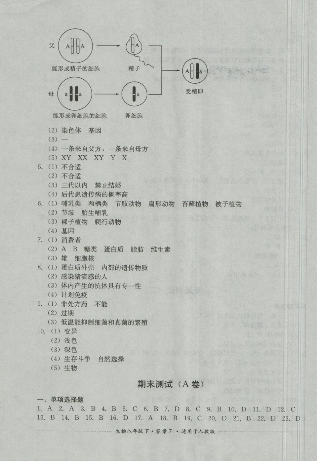 2018年单元测试八年级生物下册人教版四川教育出版社 第7页