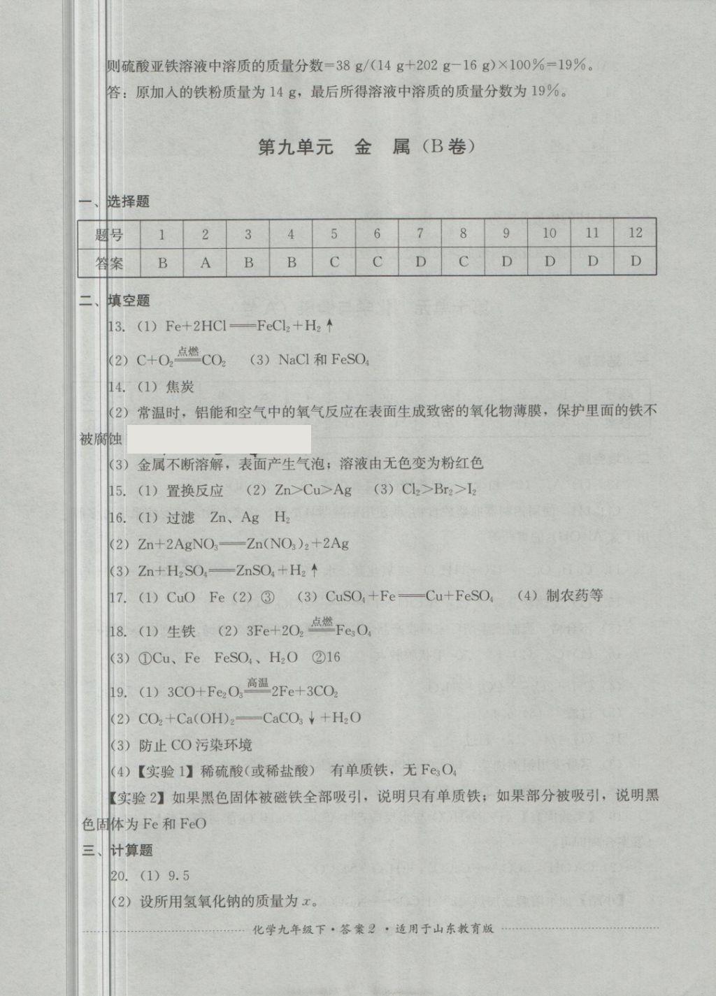 2018年單元測(cè)試九年級(jí)化學(xué)下冊(cè)魯教版四川教育出版社 第2頁(yè)