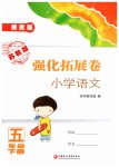 2019年練習(xí)與測(cè)試強(qiáng)化拓展卷小學(xué)語(yǔ)文五年級(jí)提優(yōu)版（上下冊(cè)）