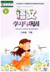 2020年語(yǔ)文學(xué)習(xí)與鞏固三年級(jí)下冊(cè)人教版