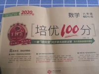 2020年王朝霞培优100分六年级数学下册人教版