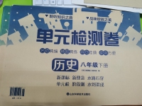 2020年单元检测卷八年级历史下册人教版