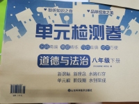2020年單元檢測卷八年級道德與法治下冊人教版