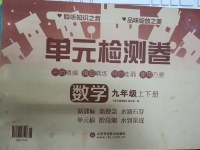 2020年單元檢測卷九年級數學全一冊人教版