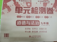 2020年單元檢測(cè)卷九年級(jí)道德與法治全一冊(cè)人教版