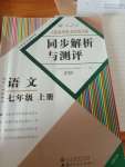 2020年人教金学典同步解析与测评七年级语文上册人教版云南专版