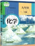 2021年教材課本九年級(jí)化學(xué)下冊(cè)人教版