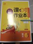 2021年金色課堂課時(shí)作業(yè)本六年級(jí)語(yǔ)文下冊(cè)人教版提優(yōu)版