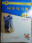 2021年同步練習(xí)冊六年級英語下冊冀教版三起河北教育出版社