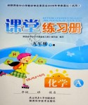 2021年課堂練習(xí)冊(cè)九年級(jí)化學(xué)下冊(cè)人教版A版