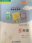 2021年領(lǐng)航新課標練習冊八年級物理下冊人教版