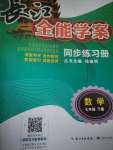 2021年長江全能學(xué)案同步練習冊七年級數(shù)學(xué)下冊人教版