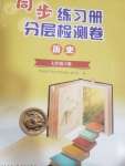 2023年同步練習(xí)冊(cè)分層檢測(cè)卷七年級(jí)歷史下冊(cè)人教版