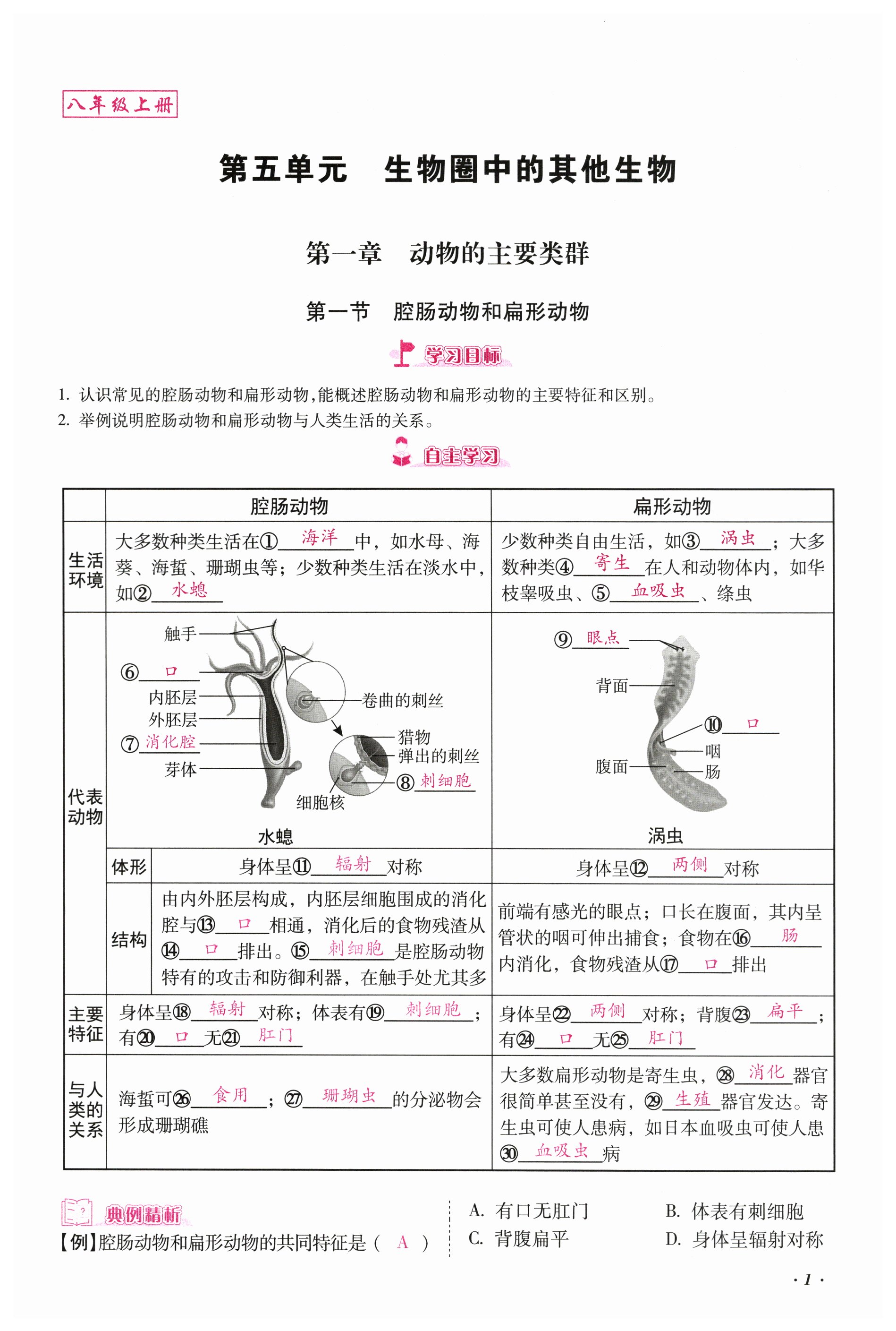 2023年本土攻略八年级生物上册人教版 第1页