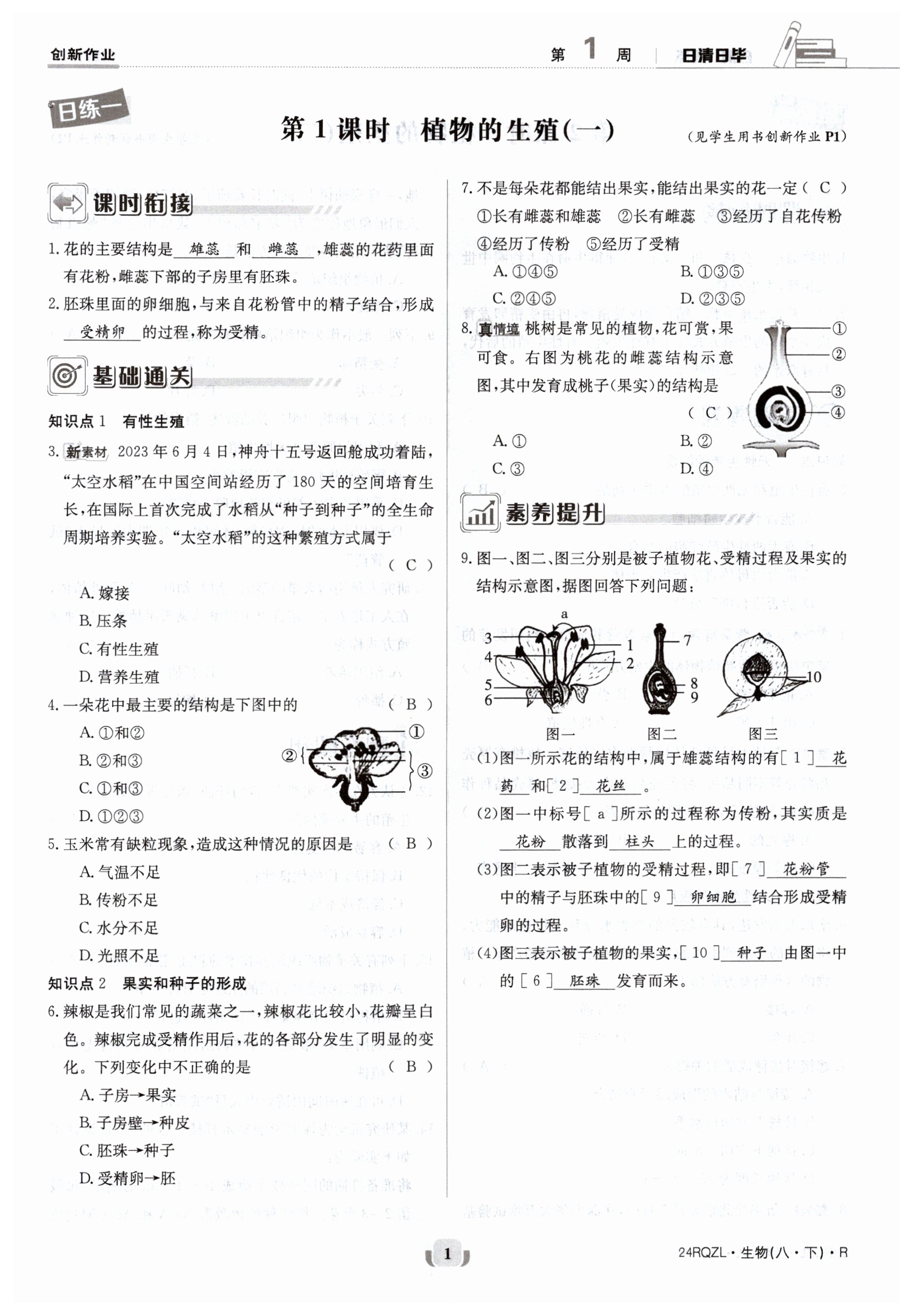 2024年日清周練八年級生物下冊人教版 第1頁