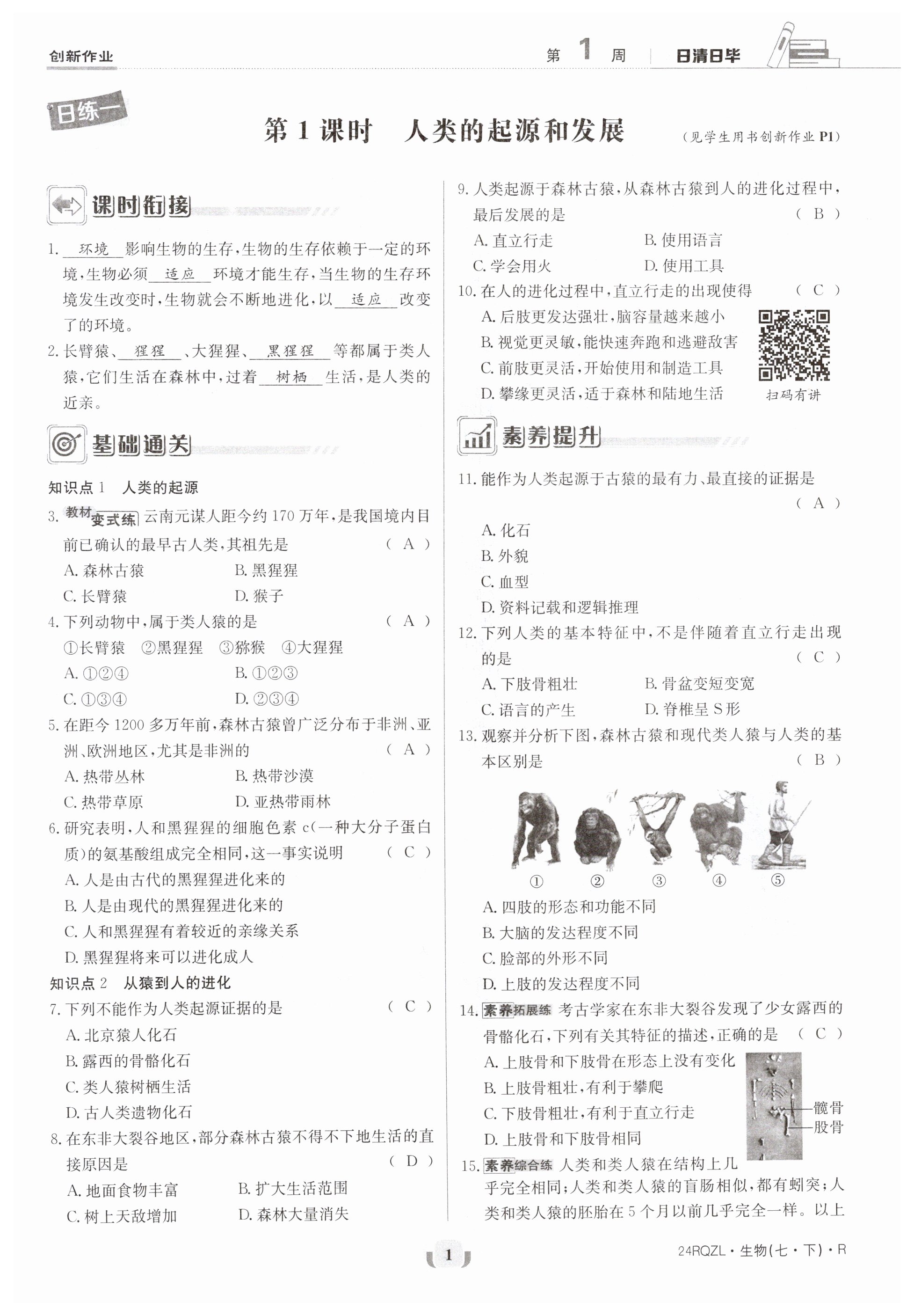 2024年日清周練七年級生物下冊人教版 第1頁