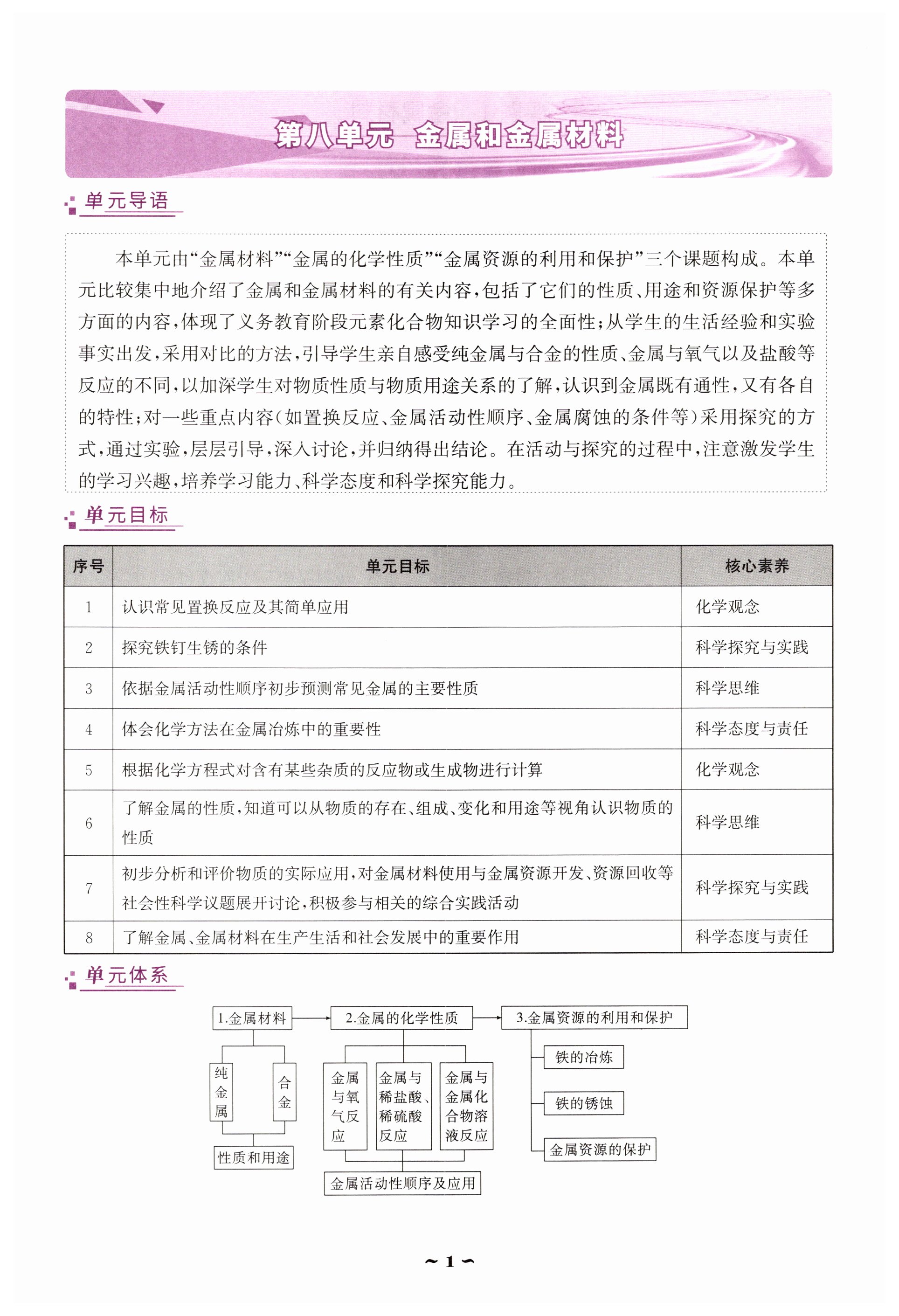 2025年云南省標(biāo)準(zhǔn)教輔優(yōu)佳學(xué)案九年級(jí)化學(xué)下冊(cè)人教版 第1頁(yè)