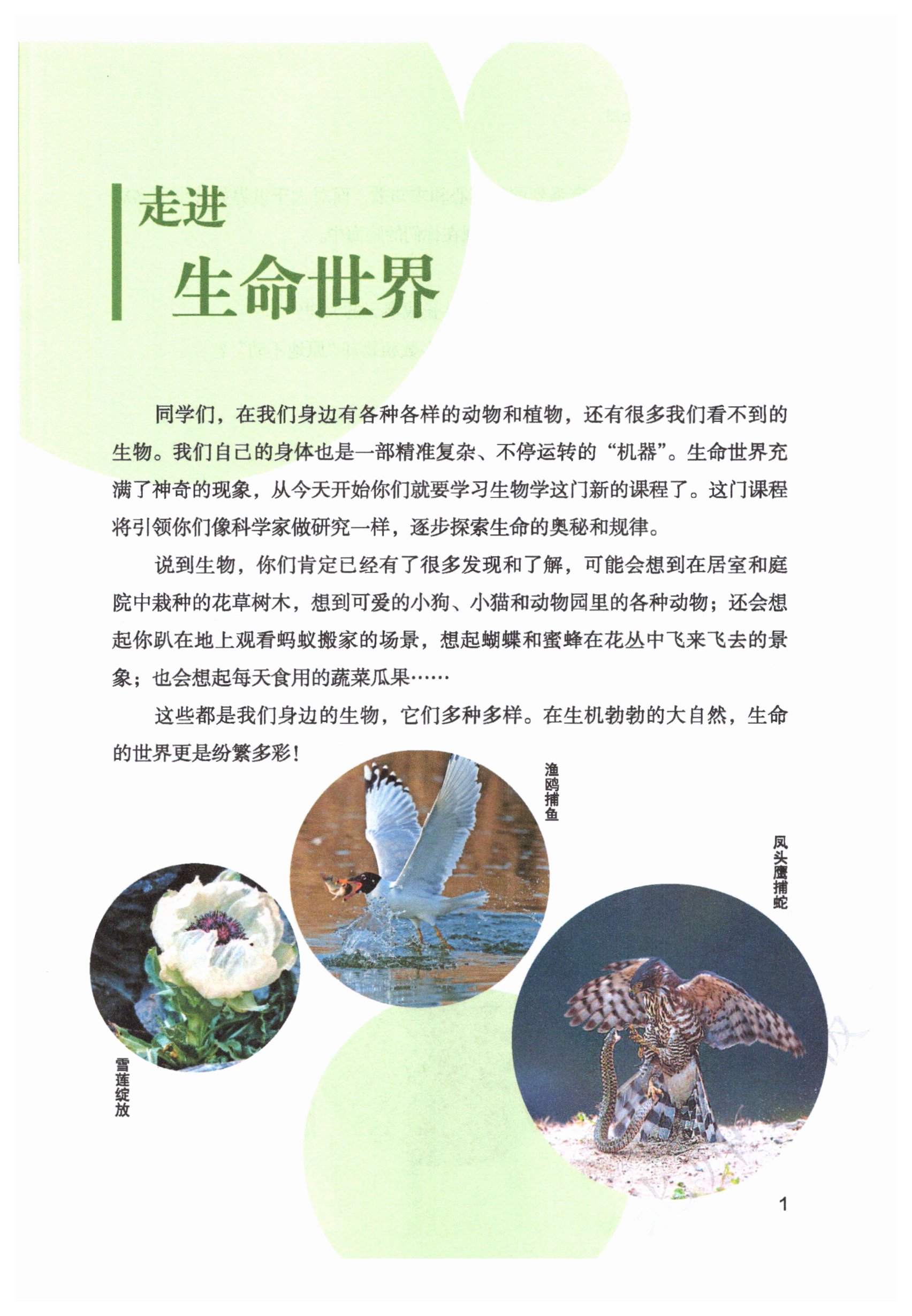 2025年教材课本七年级生物上册北师大版&nbsp;第1页