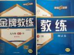2016年金牌教練九年級數學下冊