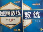 2016年金牌教練九年級化學(xué)下冊