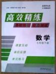 高效精練基礎練習能力測試七年級下數學北方婦女兒童出版社