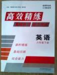 高效精练基础练习能力测试八年级下英语北方妇女儿童出版社