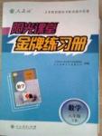 阳光课堂 金牌练习册八年级下数学人民教育出版社