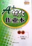 A+優(yōu)化作業(yè)本九年級(jí)下數(shù)學(xué)河北科學(xué)技術(shù)出版社