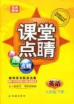 2015春 課堂點睛 點準(zhǔn)點透點精九年級下英語希望出版社