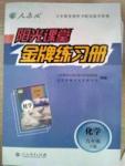 阳光课堂 金牌练习册九年级下化学人民教育出版社