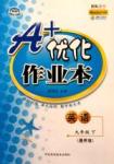A+優(yōu)化作業(yè)本九年級(jí)下英語(yǔ)河北科學(xué)技術(shù)出版社